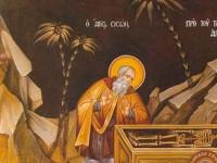 Почему святой Сисой - христианин отшельник монах изображен плачущим над гробом Александра Македонского?