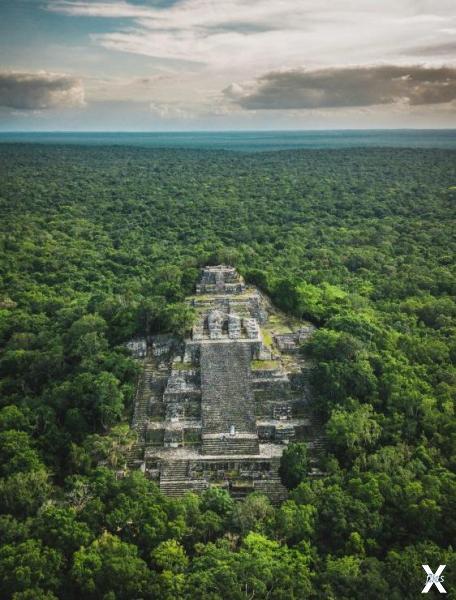 Одна из самых высоких пирамид майя в ...