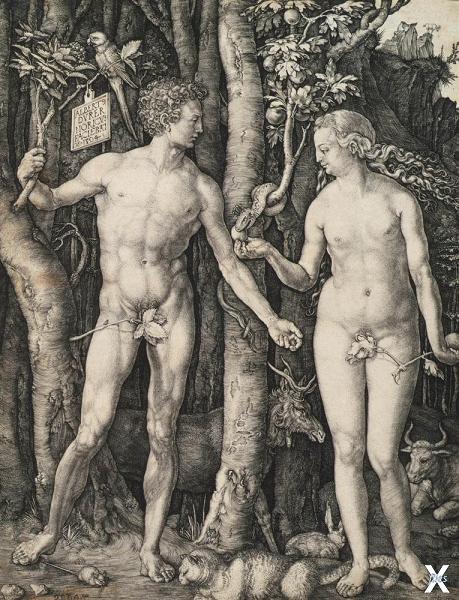 Альбрехт Дюрер. Адам и Ева. 1504. Гор...