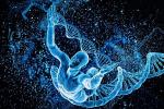 Могла ли эволюция человека обеспечить наличие 3 млрд кодов ДНК?