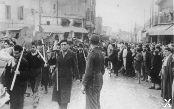 Евреи Туниса на принудительных работах