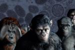 Планета обезьян: какие болезни приматов реально могут угрожать человечеству
