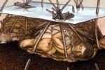 Тела из болота Уиндовер: самая странная археологическая находка из когда-либо обнаруженных в Северной Америке