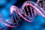 Знания о том, как изменить ДНК дошли до наших дней из древних источников