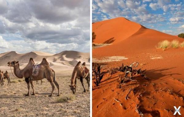 Песок в пустынях Гоби и Намиб разный