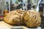 Распаковать, измельчить, съесть - европейская история мумий поистине ужасает