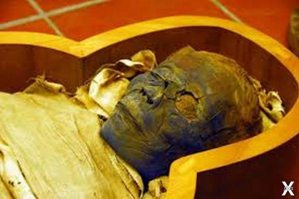 В деревянном ящика лежала мумия египе...