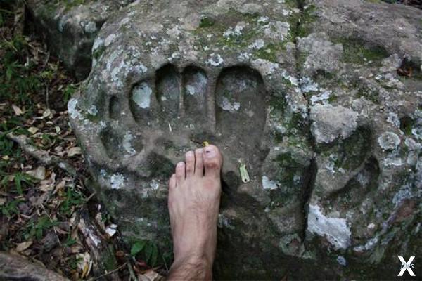 Огромный след пальцев ноги в Парагвае