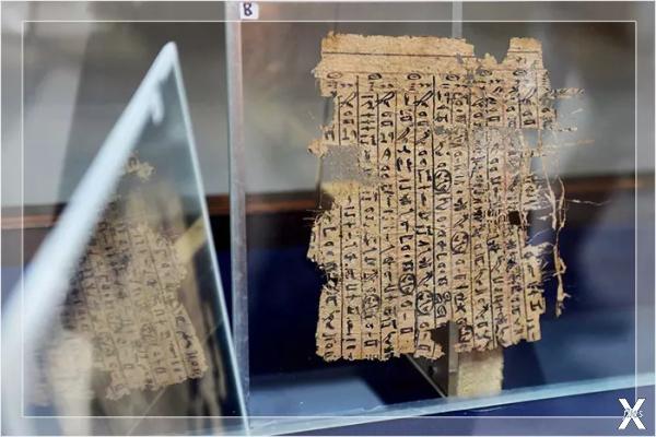 Папирус с дневником Мерера на выставк...