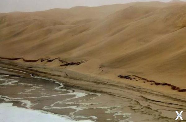 Намиб – самая древняя пустыня – 55 ми...