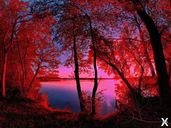 Вода в озере кажется красной
