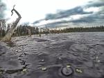 От запаха до аномальных явлений: что происходит на озере Смердячьем - самом странном водоеме в России