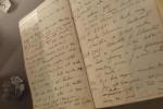 Дневники Дарвина: что было в украденных дневниках