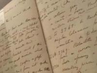 Дневники Дарвина: что было в украденных дневниках