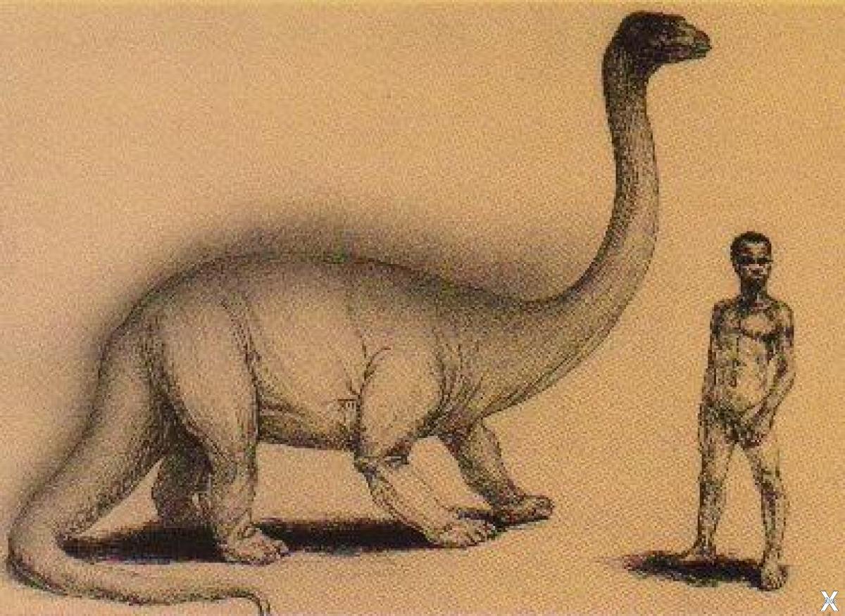 На рисунке изображен майаспондил вымершая рептилия. Мокеле мбембе криптид. Первые динозавры. Мокеле мбембе чудовище. Брат Мокеле мбембе.