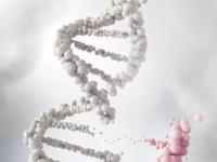 Необычные гены: на что они запрограммированы