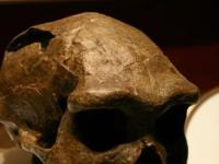 Внеземная ДНК обнаружена в костях самого древнего в мире предка человека