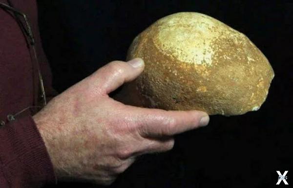Уникальный череп из Манота