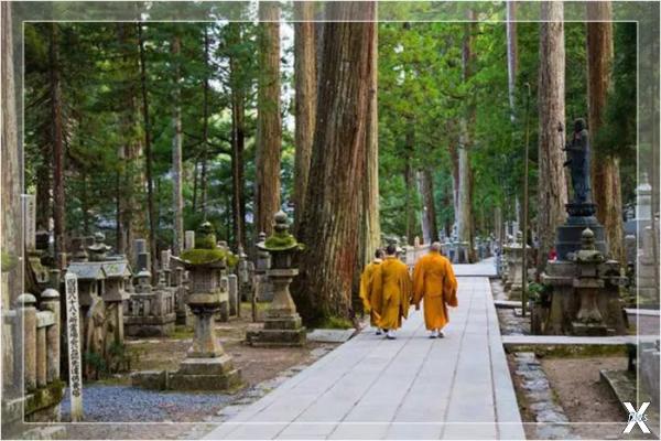 Сингонские буддийские монахи в шафран...