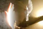 Как выглядят ангелы, если верить Библии: не милые, не романтичные и без крыльев