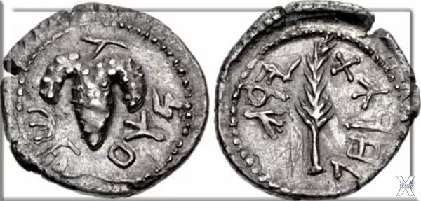 Монета времён восстания Бар-Кохбы