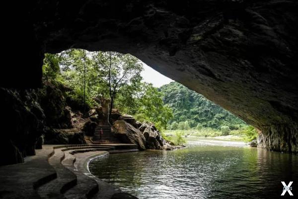 Пещера Шодонг была открыта в 1991 год...