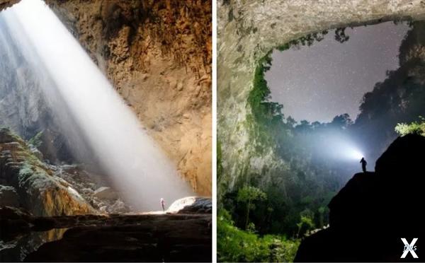 Жизнь в пещере есть благодаря свету, ...