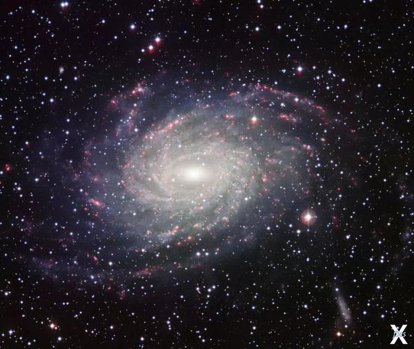 Снимок близлежащей галактики NGC 6744...