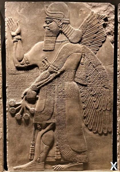 Крылатый гений из ассирийских барельефов