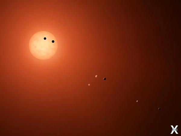 TRAPPIST-1 в представлении художника ...
