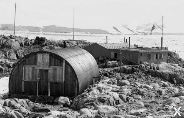 Экспансия Антарктиды: операция «Табарин»