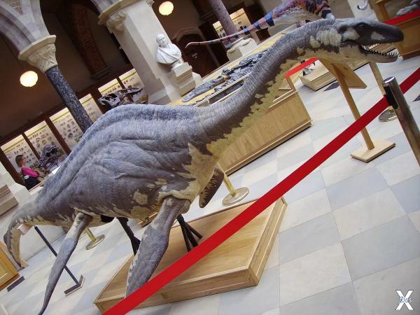 Несси-плезиозавр, сделанный для телев...