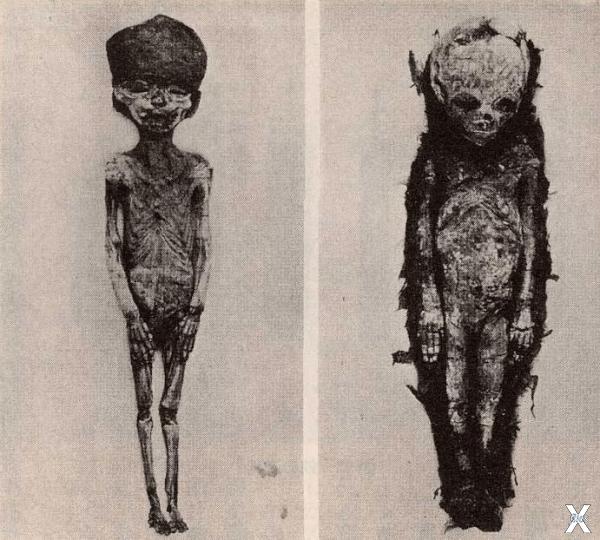 Две мумии младенцев, найденные в гроб...