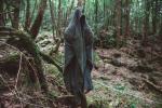 Лес Аокигахара в Японии: парадокс самоубийства