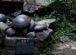 Загадочное происхождение китайской скалы, которая умеет откладывать яйца и запутывает умы ученых