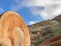 Загадка каменных шаров пустынного острова Чампа: Мячи Богов, остатки древней цивилизации или творения природы