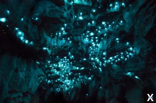 Пещера светлячков Вайтомо