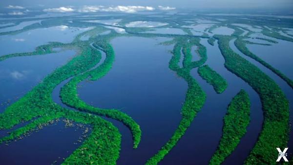 Амазонка и ее бассейн