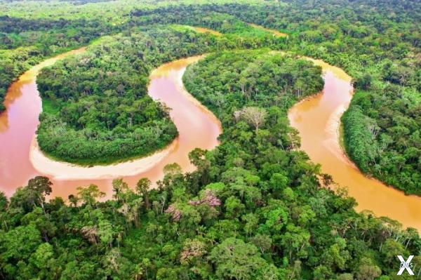 Невероятные пейзажи Амазонки