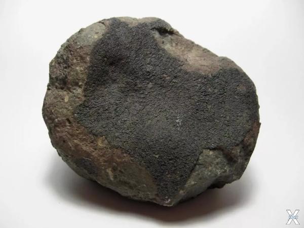 Фрагмент метеорита Альенде, упавший в...