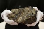 Часто ли падающие метеориты попадают в людей и чем это чревато