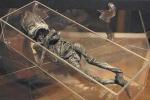 Кыштымский карлик «Алешенька»: что известно о самой скандальной мумии России