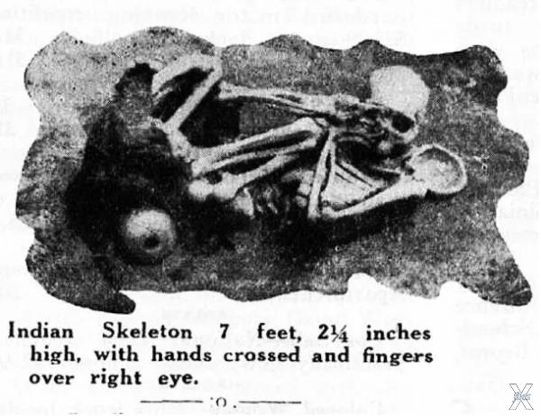 Скелет ростом более 7 футов (2,13 м) ...