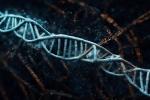 Что если код ДНК - это искусственный интеллект?