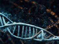 Что если код ДНК - это искусственный интеллект?