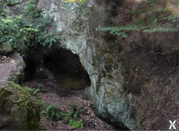 «Пещера Бастет»