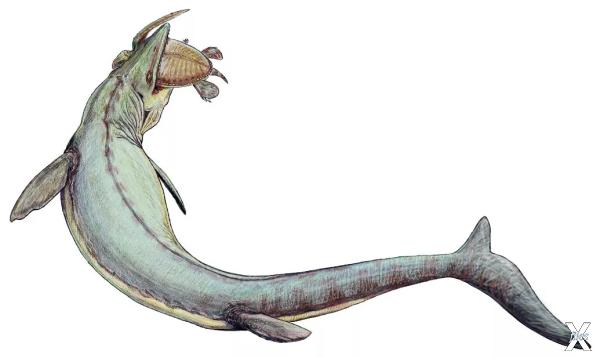 Мозазавры были высшими хищниками море...