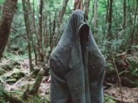 Чем прославился лес самоубийц, в котором сбоят компасы: почему это место заслужило мрачную репутацию?