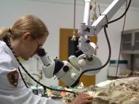 Применение инноваций в археологии