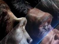 Homo sapiens - результат эволюции, или Житель космического зоопарка?